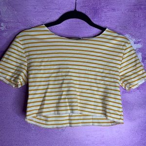 Zara Distressed Yellow Stripe Crop Top